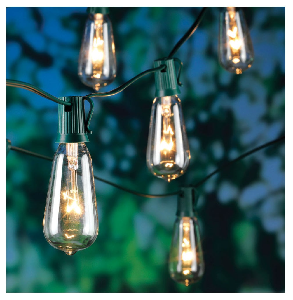 Living Accents 87385-71 Incandescent Edison Christmas String Light, 9' L