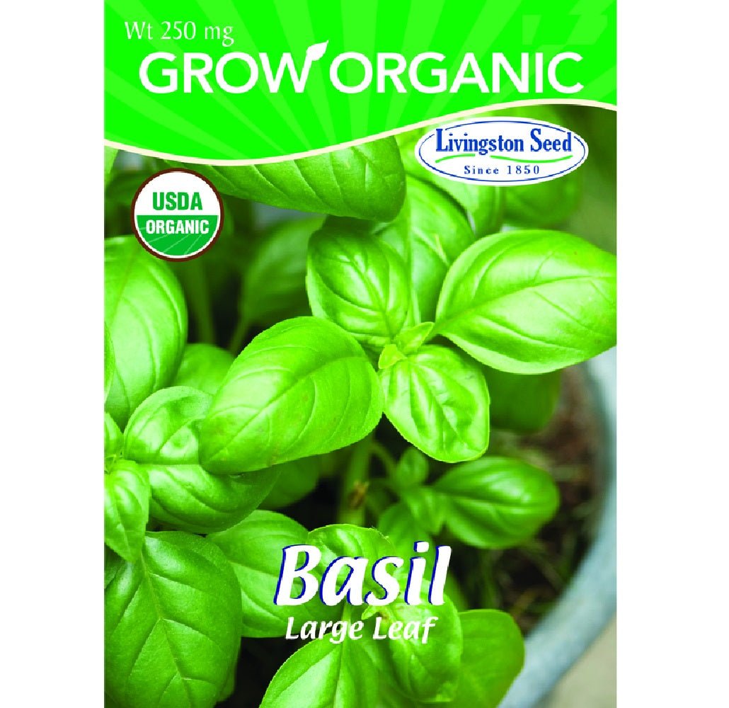 Livingston Seed Y7005 Basil Large Leaf Plantation Herb, 250mg