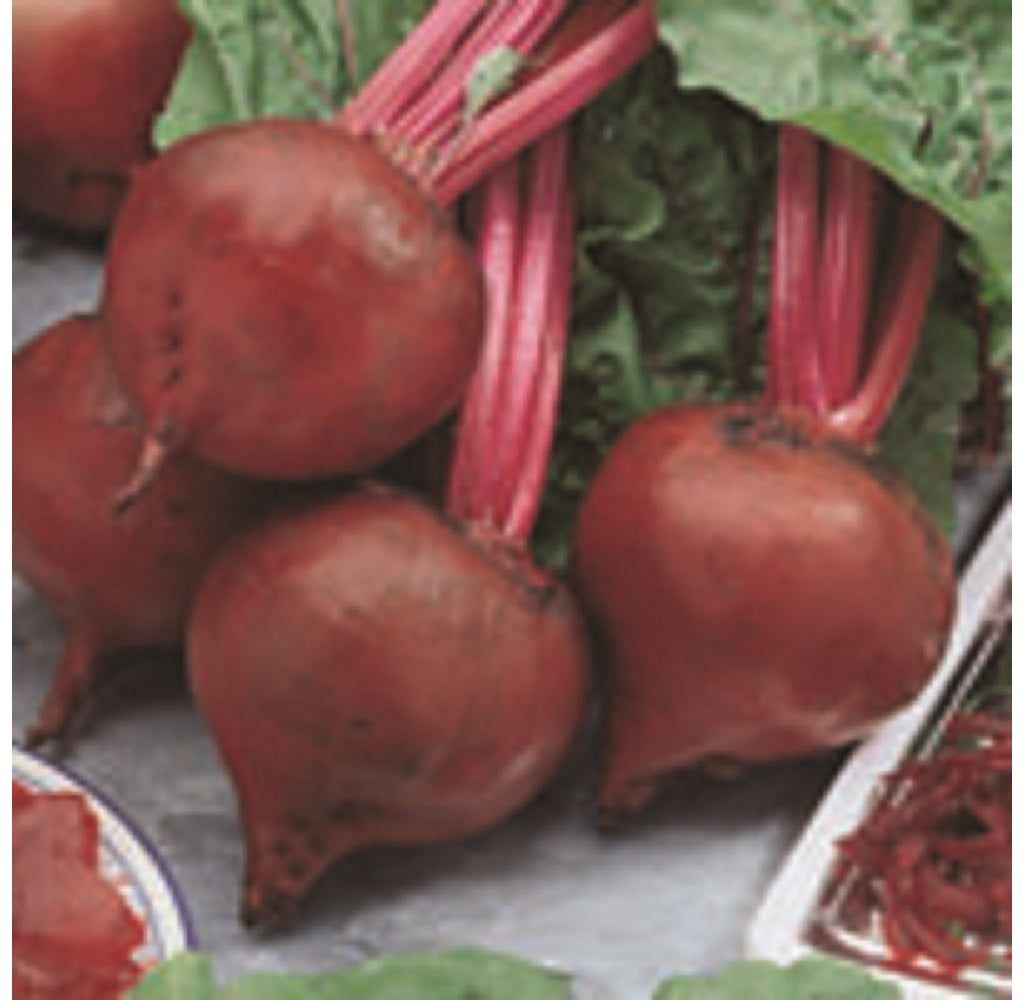 Livingston Seed Y7030 Beet Plantation Products Vegetable, 5g