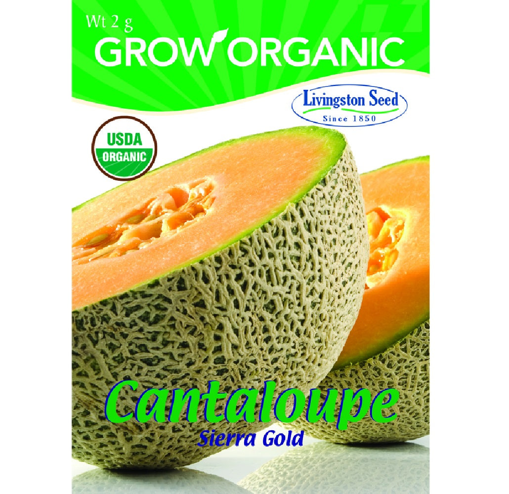 Livingston Seed Y7040 Cantaloupe Sierra Gold Plantation Vegetable, 2g