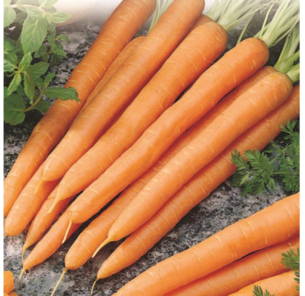 Livingston Seed Y7045 Carrot Plantation Products Vegetable, 3g