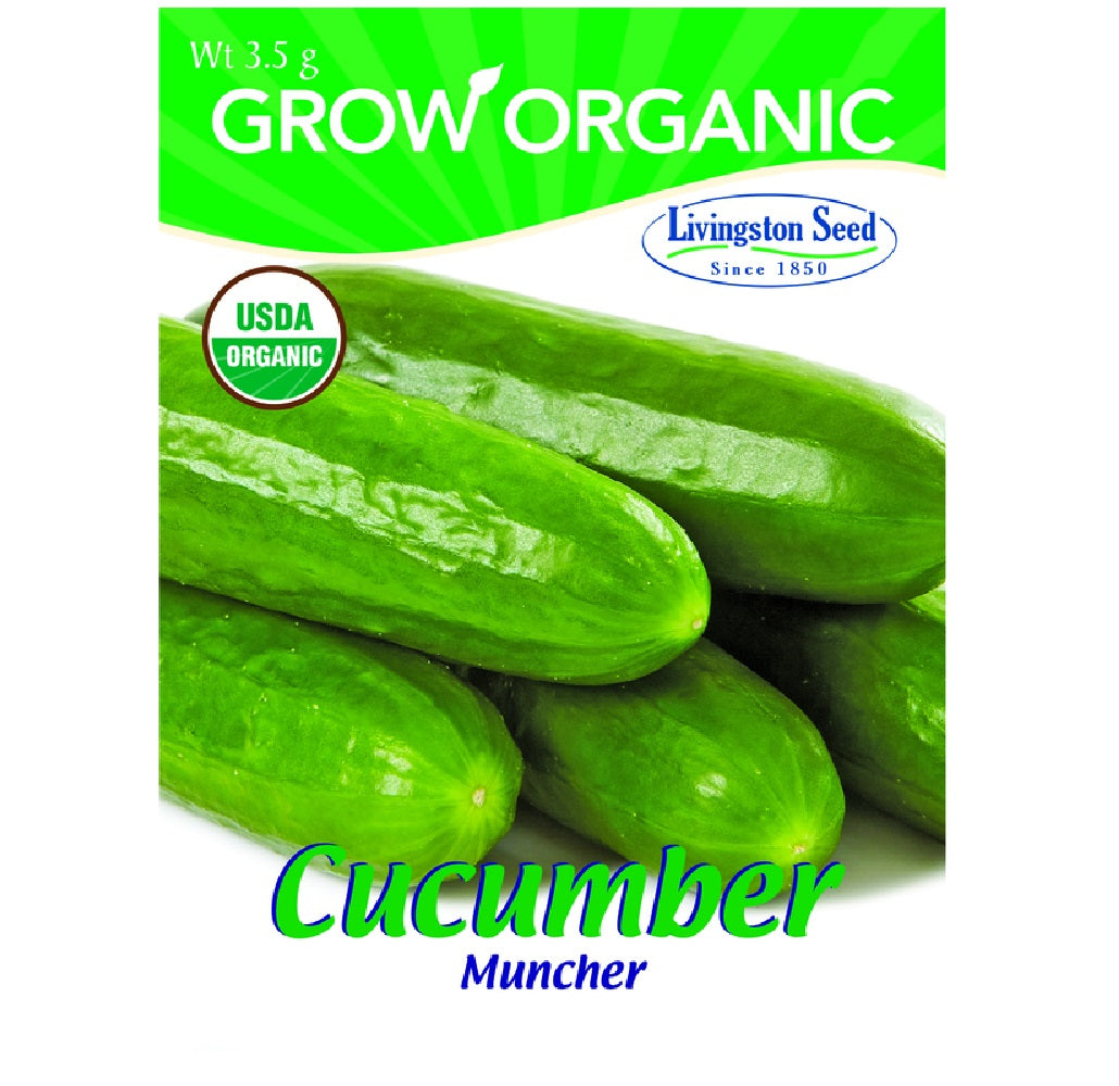 Livingston Seed Y7065 Cucumber Muncher Plantation Products Vegetable, 3.5g