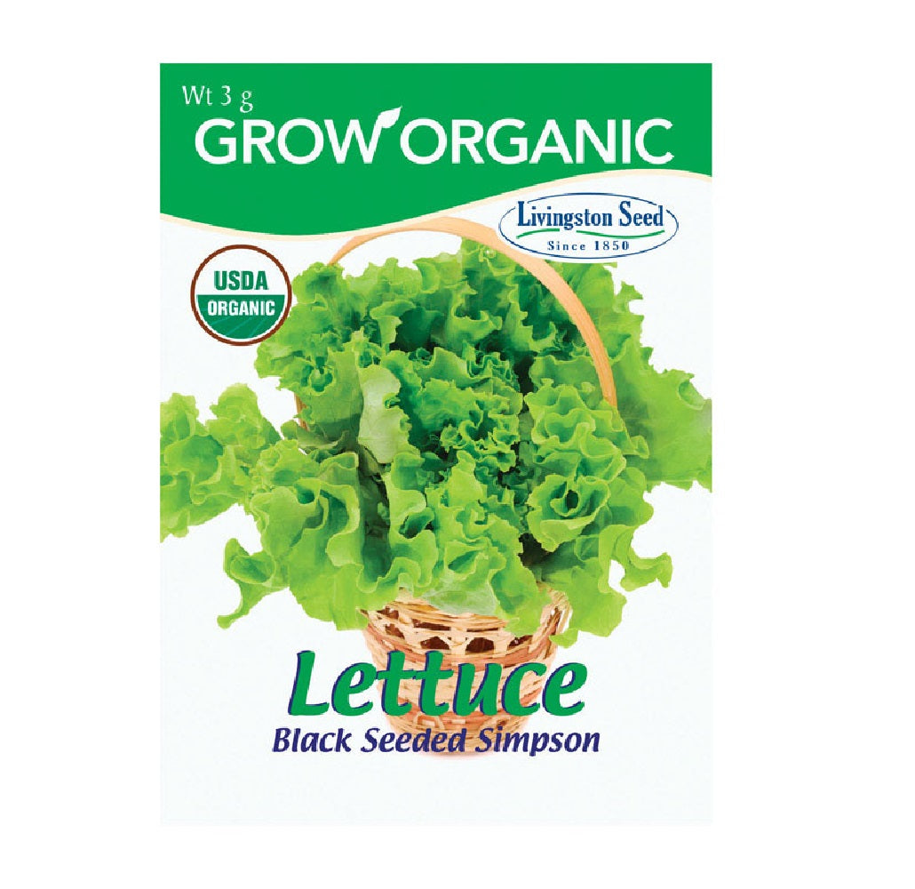 Livingston Seed Y7080 Lettuce Black Seeded simpson Plantation Vegetable, 3g