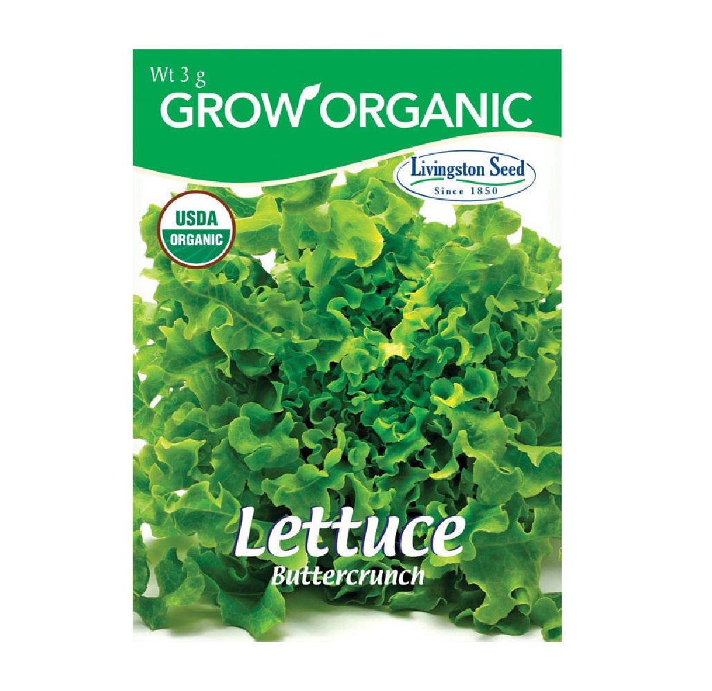 Livingston Seed Y7085 Lettuce Buttercrunch Plantation Vegetable, 3g