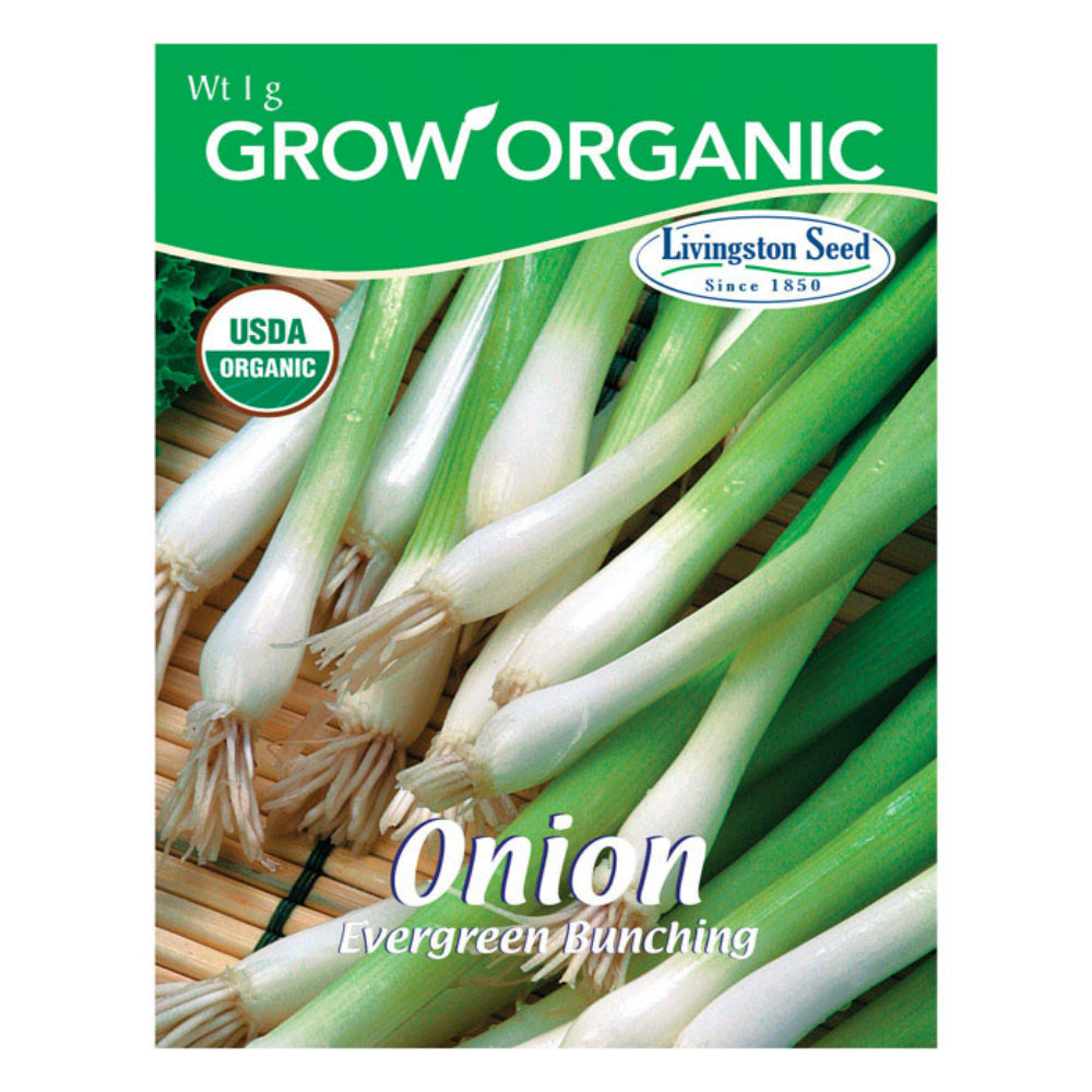 Livingston Seed Y7105 Organic Evergreen Bunching Onion Seeds, 1g
