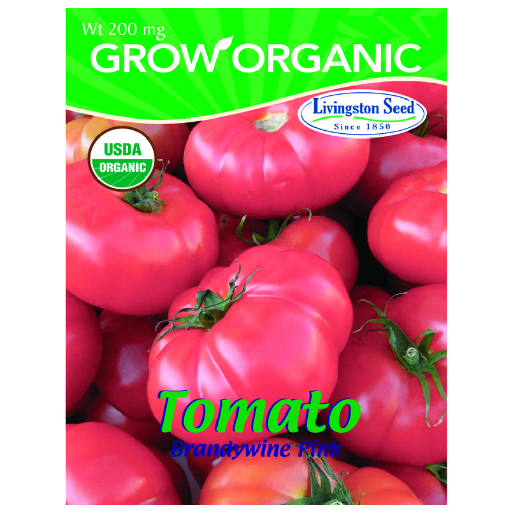 Livingston Seed Y7165 Pink Brandywine Tomato Seeds, 200 mg
