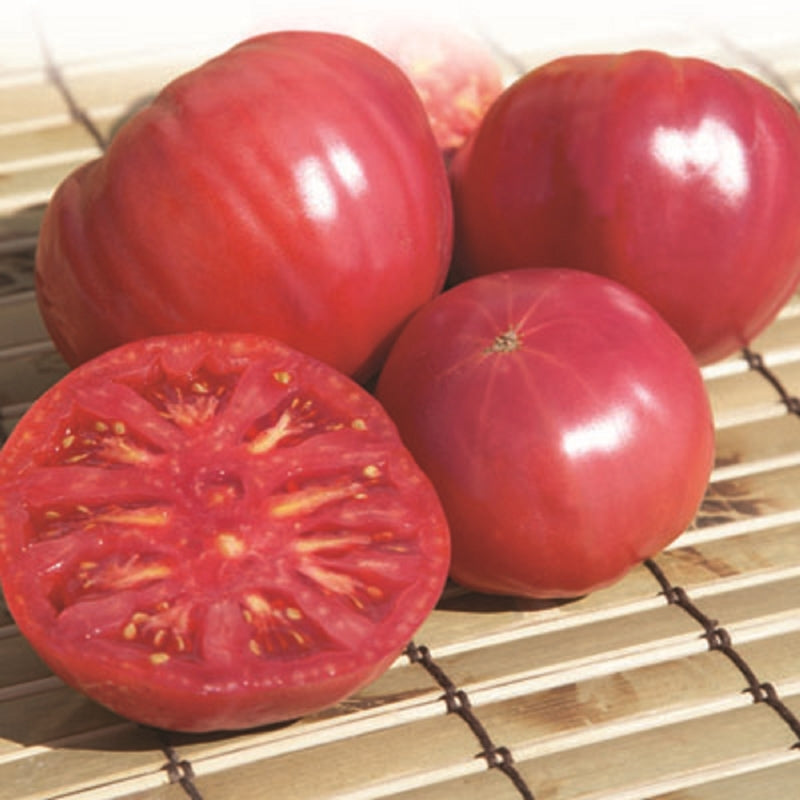 Livingston Seed Y7165 Pink Brandywine Tomato Seeds, 200 mg
