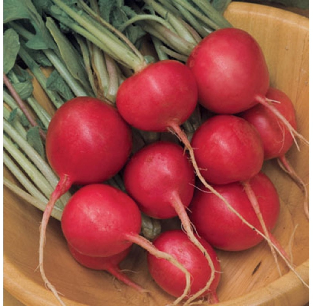 Livingston Seed Y7125 Radish Cherry Belle Plantation Products Vegetable, 6g