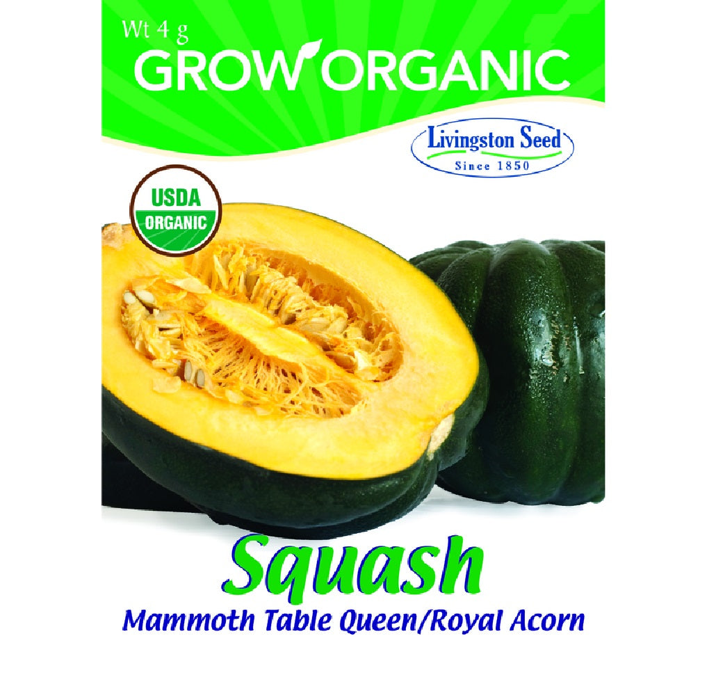 Livingston Seed Y7140 Squash Mammoth Table Queen Plantation Vegetable, 4g