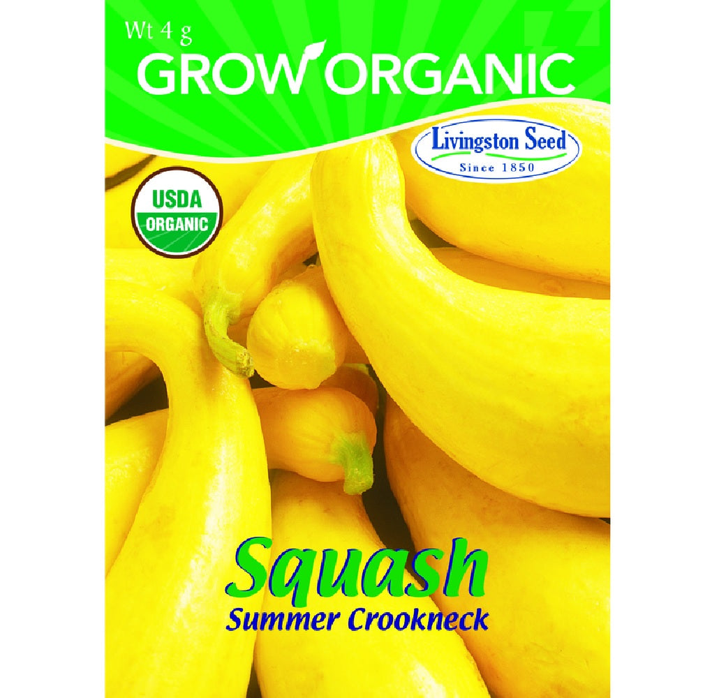 Livingston Seed Y7145 Squash Summer Crookneck Plantation Vegetable, 4g