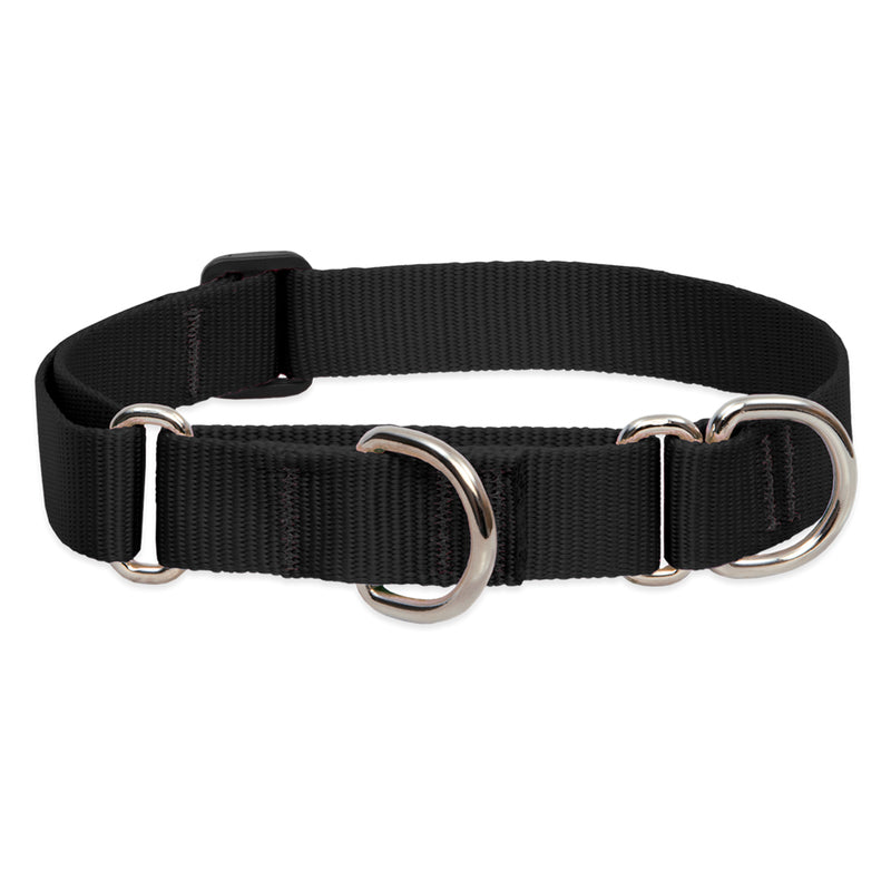 buy dogs collar at cheap rate in bulk. wholesale & retail pet care goods & accessories store.