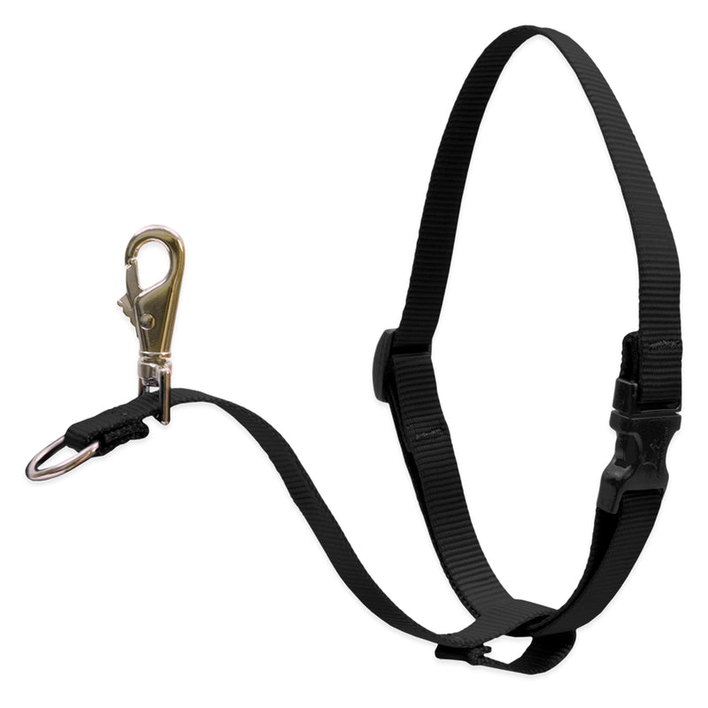 buy leashes & leads for dogs at cheap rate in bulk. wholesale & retail bulk pet care supplies store.