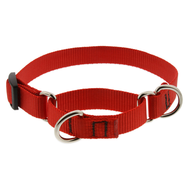 buy dogs collar at cheap rate in bulk. wholesale & retail pet care items store.