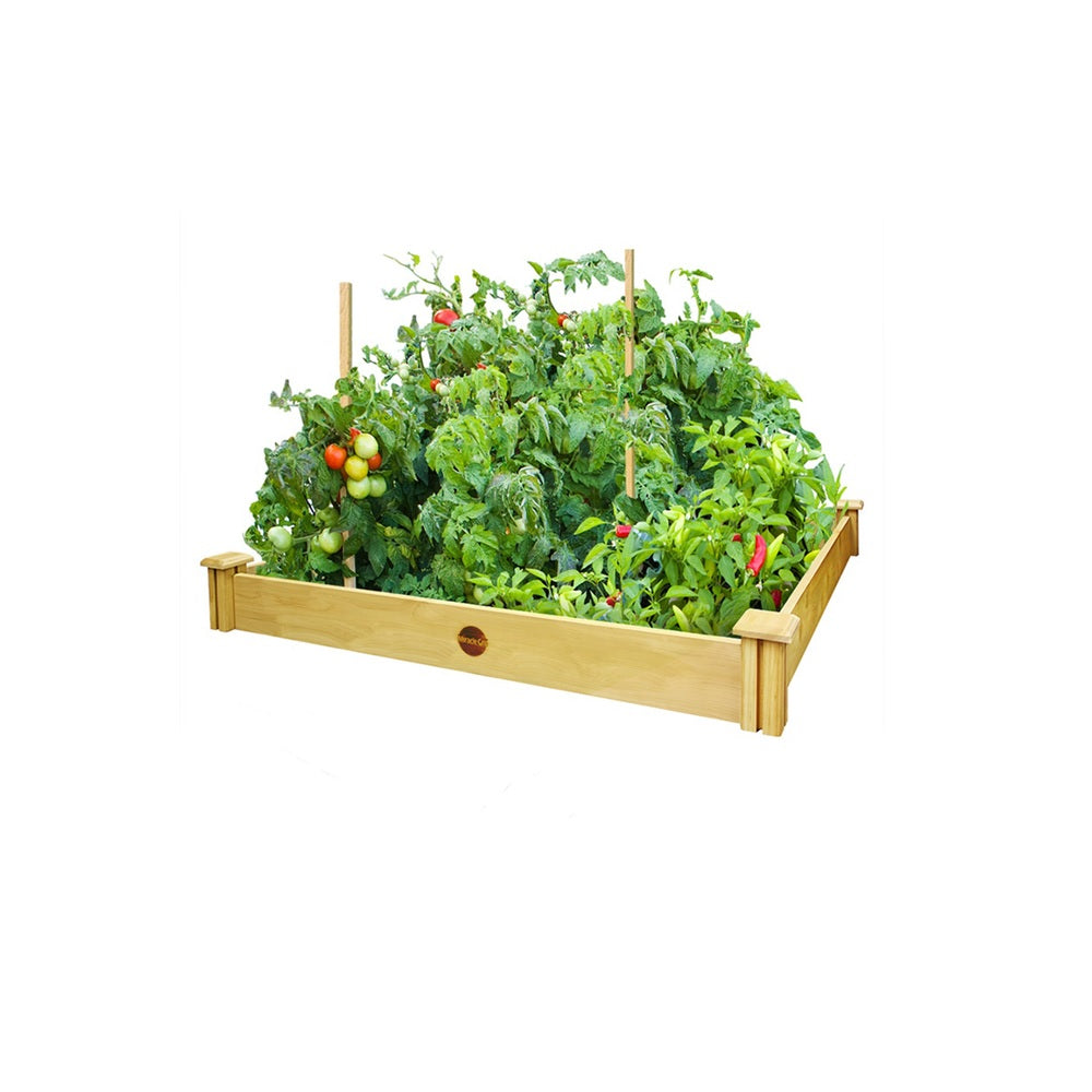 buy raised garden kits at cheap rate in bulk. wholesale & retail farm and gardening supplies store.