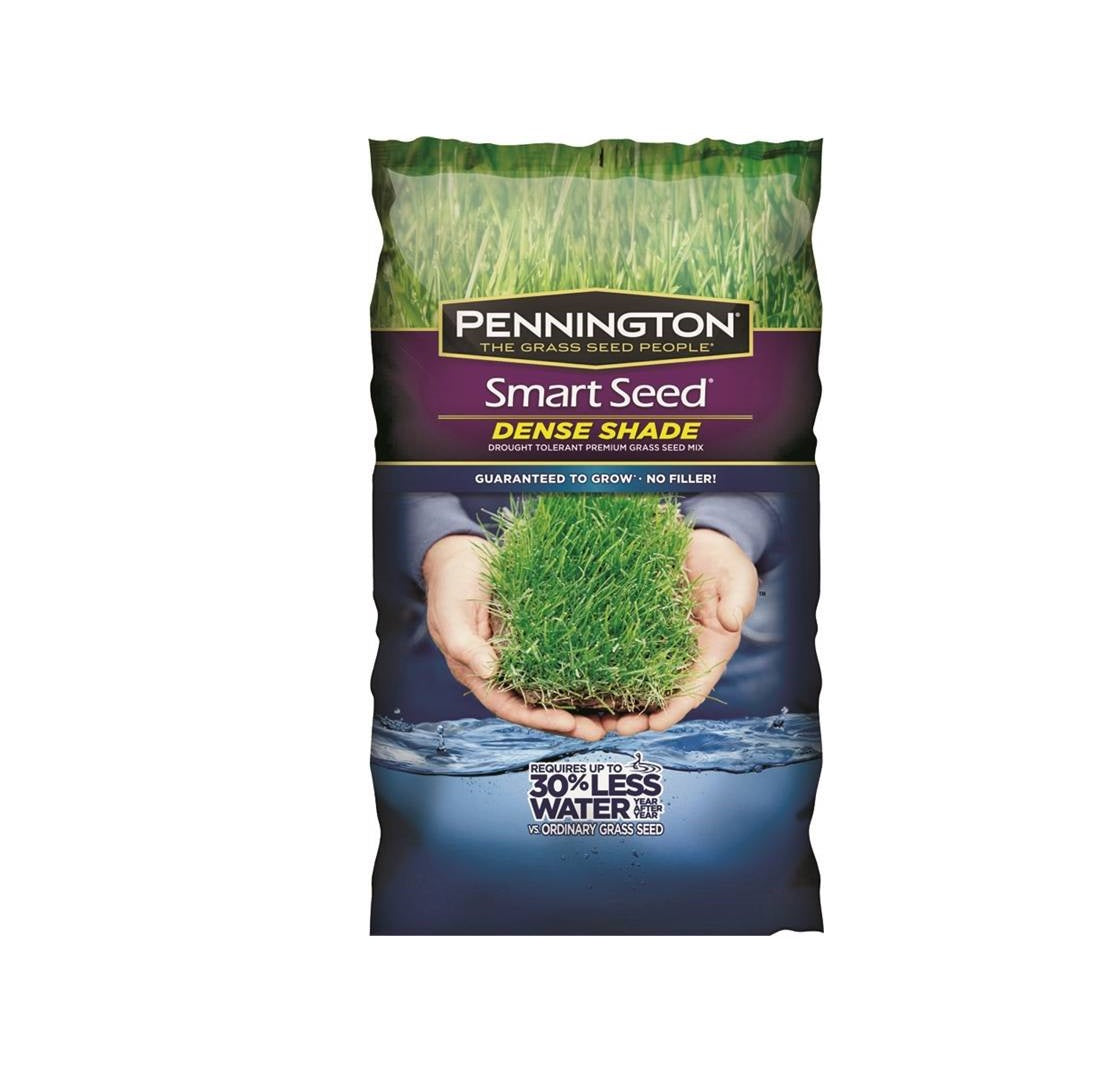 Pennington 100543703 Grass Seed, 7 lb
