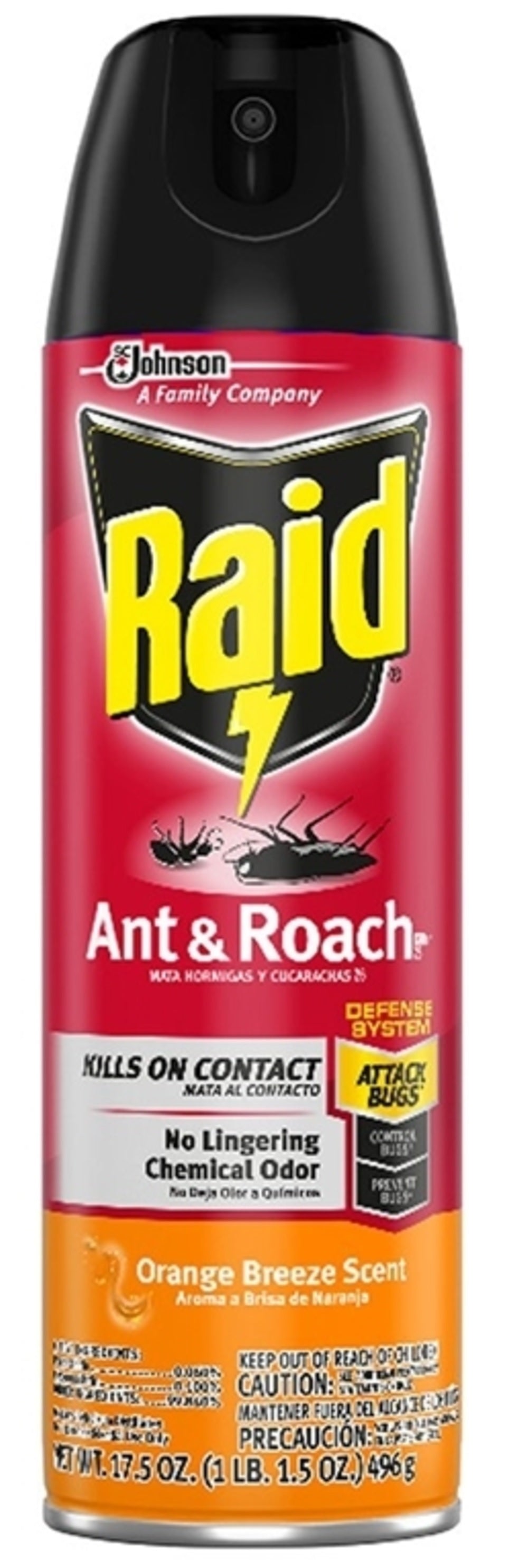 Raid 77533 Ant & Roach Killer, 17.5 Oz