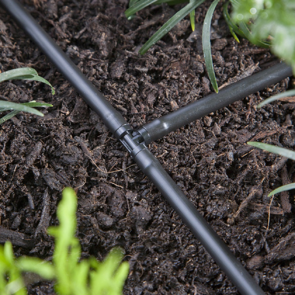 Raindrip 307010B Barbed Drip Irrigation Tee, 1/4 Inch
