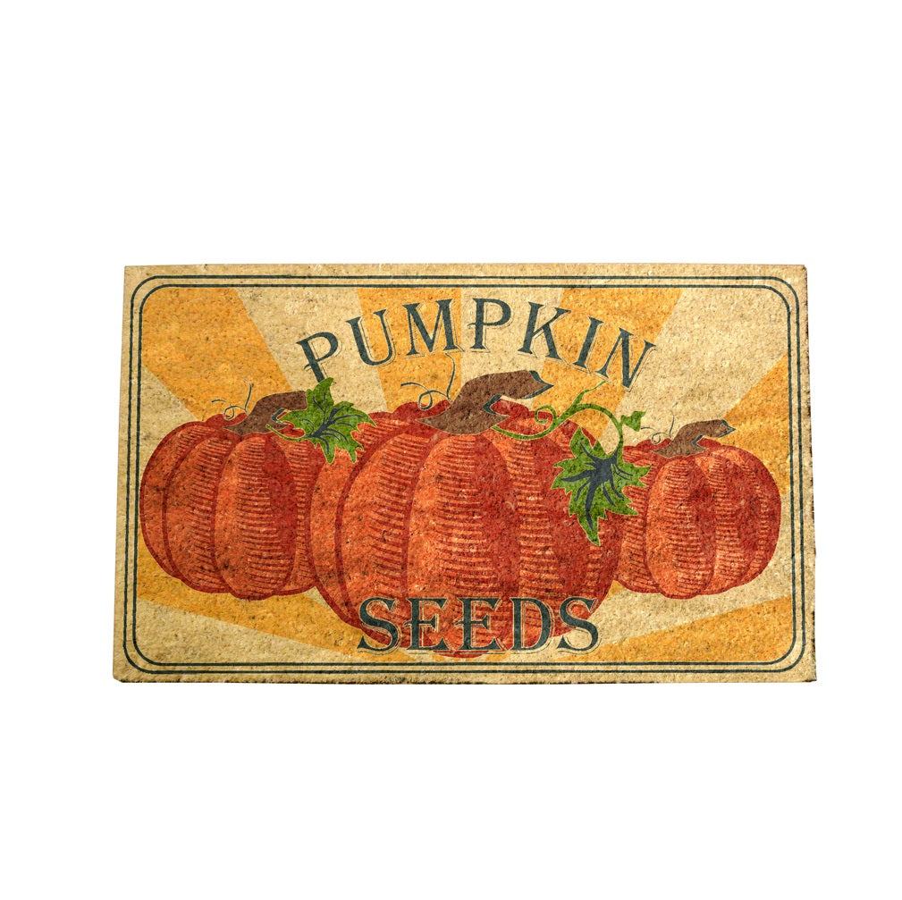 Robert Allen MAT01792 Pumpkin Seeds Door Mat, Vinyl