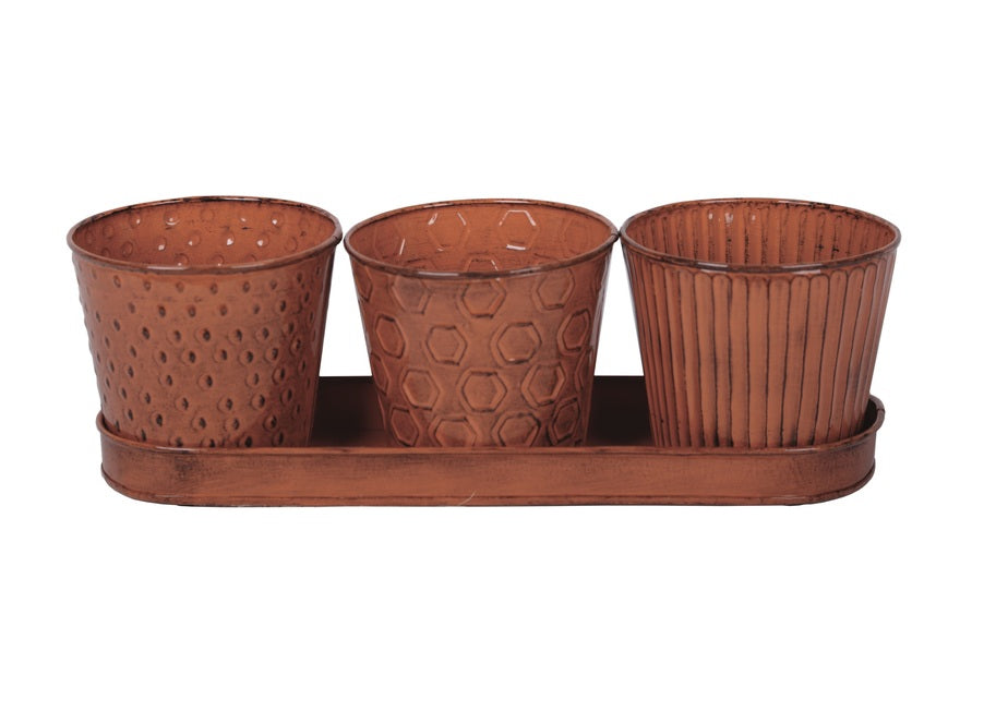 buy planters & pots at cheap rate in bulk. wholesale & retail landscape maintenance tools store.