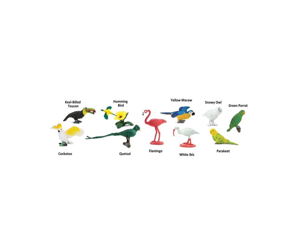 Safari Ltd 680404 Toob Exotic Birds Toy, Plastic