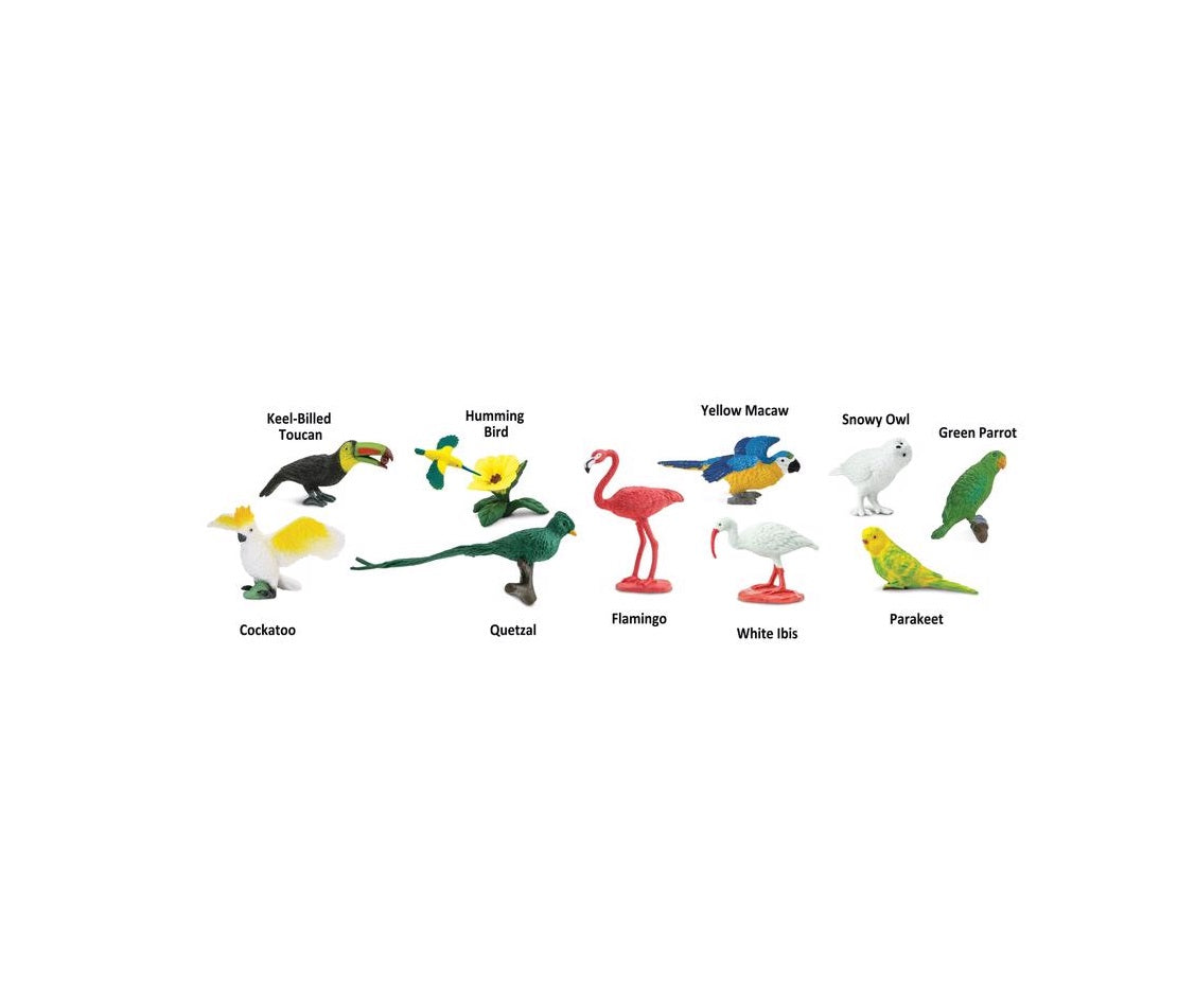 Safari Ltd 680404 Toob Exotic Birds Toy, Plastic