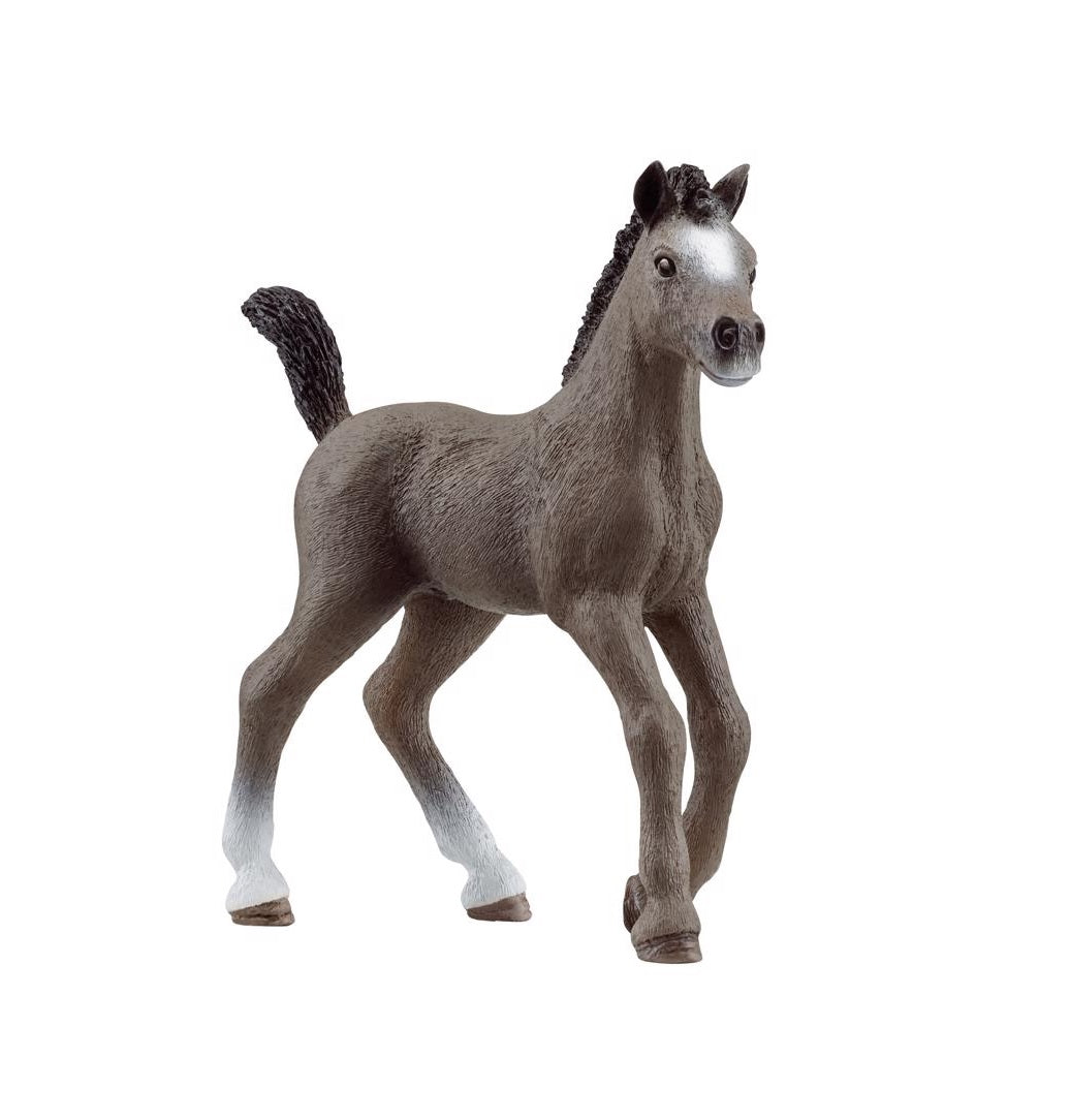 Schleich 13957 Cheval de Selle Francais Foal, Gray