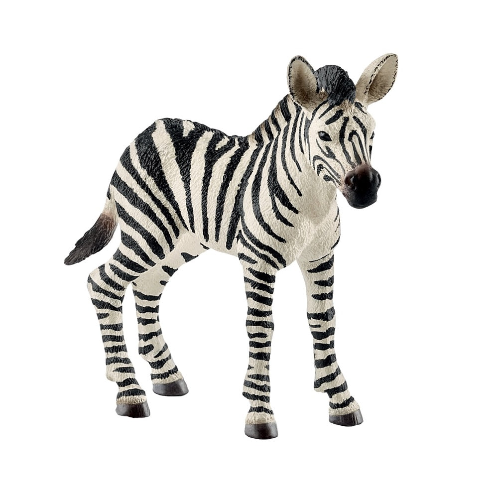 buy action & toy figures at cheap rate in bulk. wholesale & retail kids school supplies store.