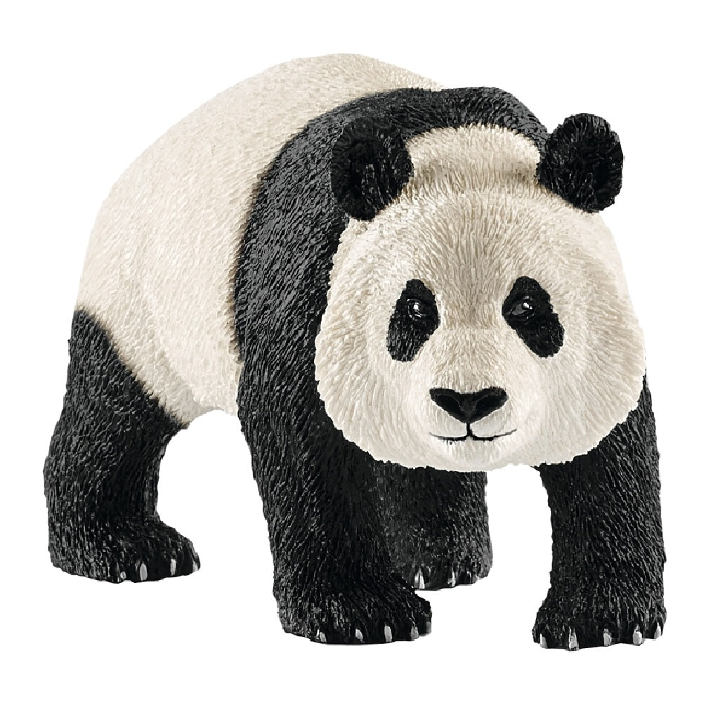Schleich-S 14772 Male Panda Toy, 3 to 8 years