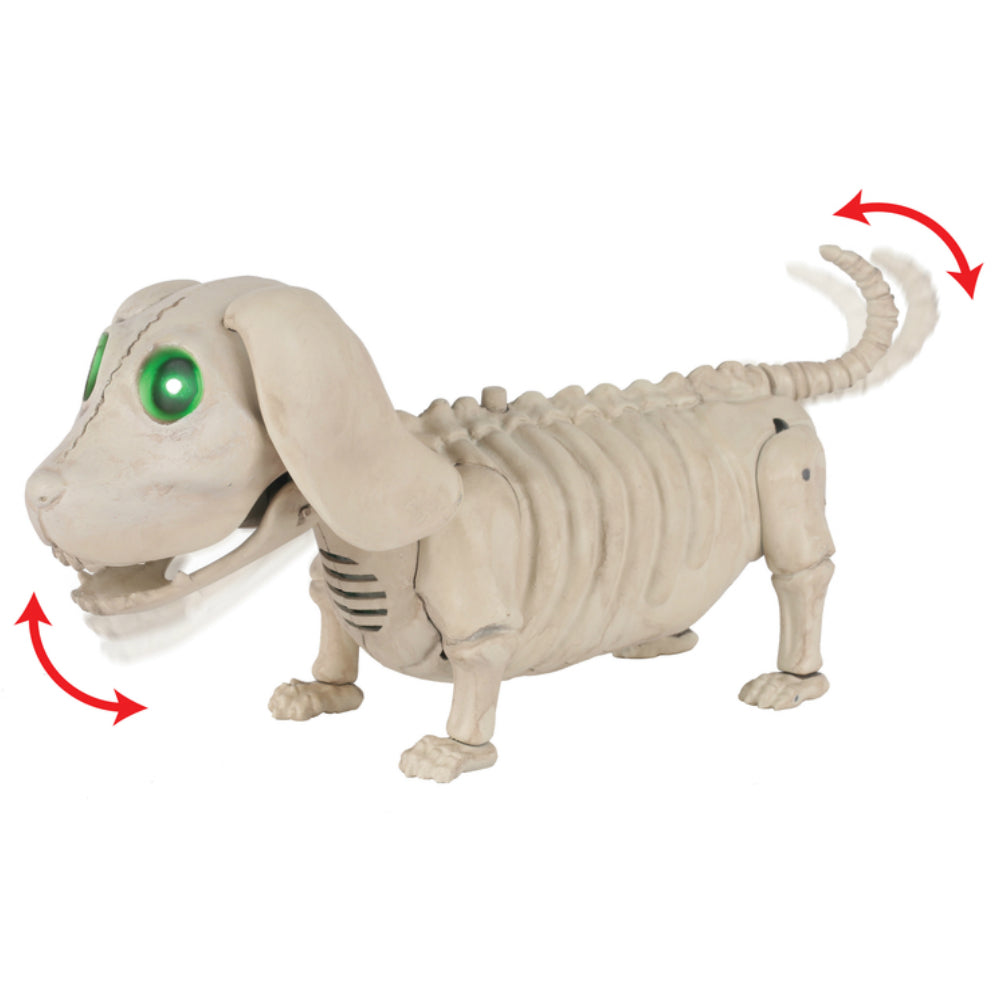 Seasons USA W81888 Halloween Animated Dog Skeleton, 10.25 In