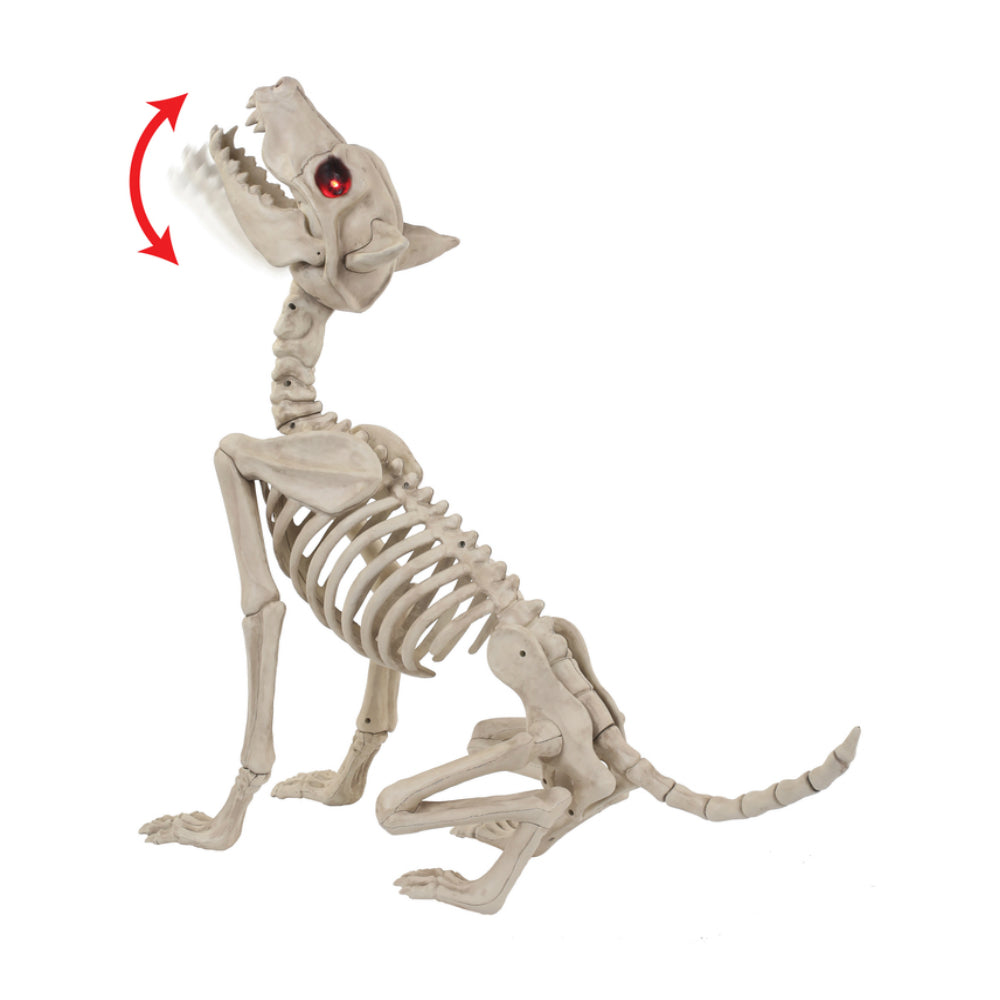 Seasons USA W81895 Halloween Animated Wolf Skeleton, 27.5 In