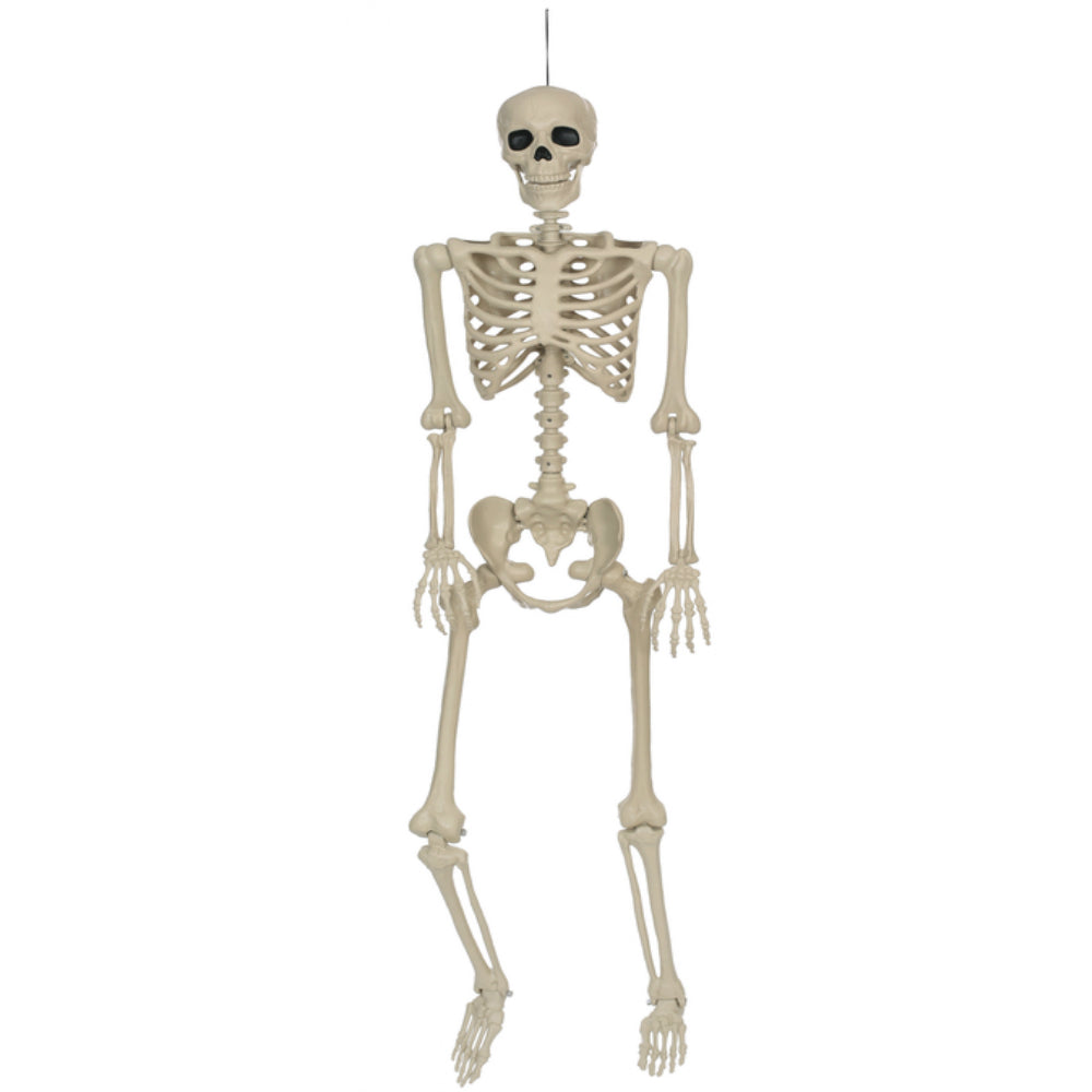 Seasons USA W81034 Halloween Posable Skeleton, 5 Ft