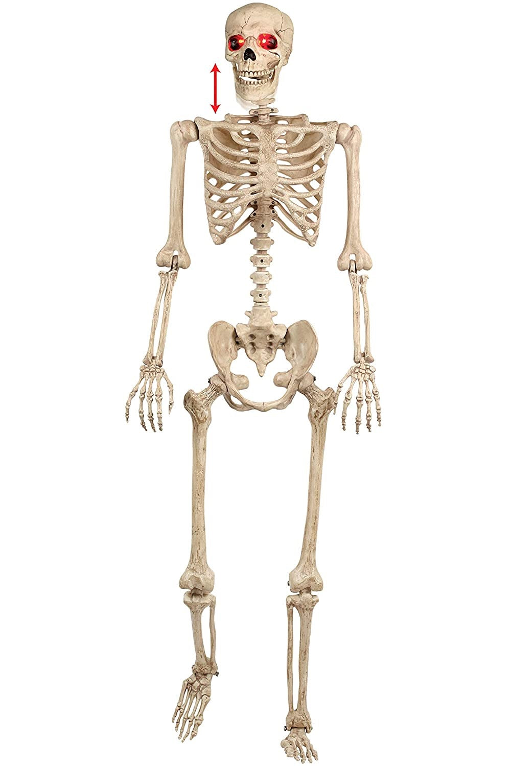 Seasons W81898 Crazy Bones Halloween Skeleton