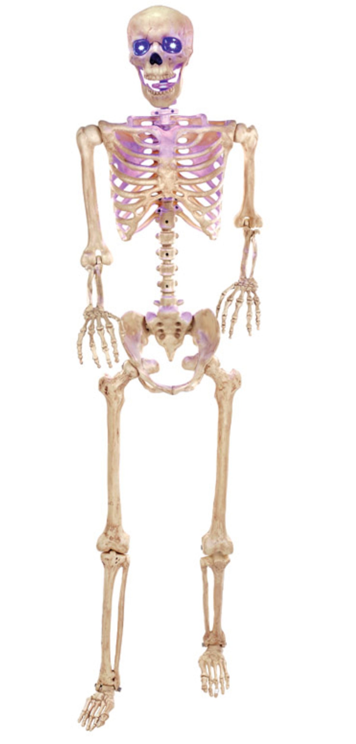 Seasons W81215 Skeleton Lighted Halloween Decoration