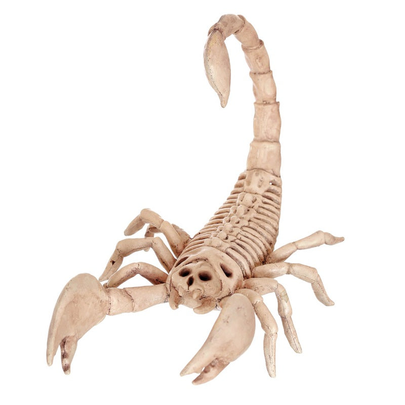 Seasons Z28061 Halloween Assortment of Animal Skeleton
