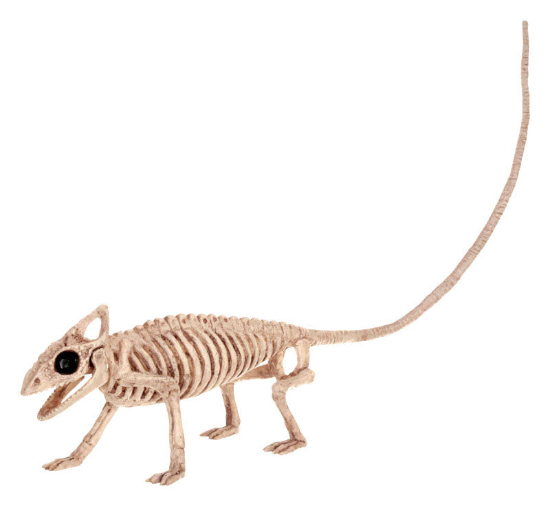 Seasons Z28061 Halloween Assortment of Animal Skeleton