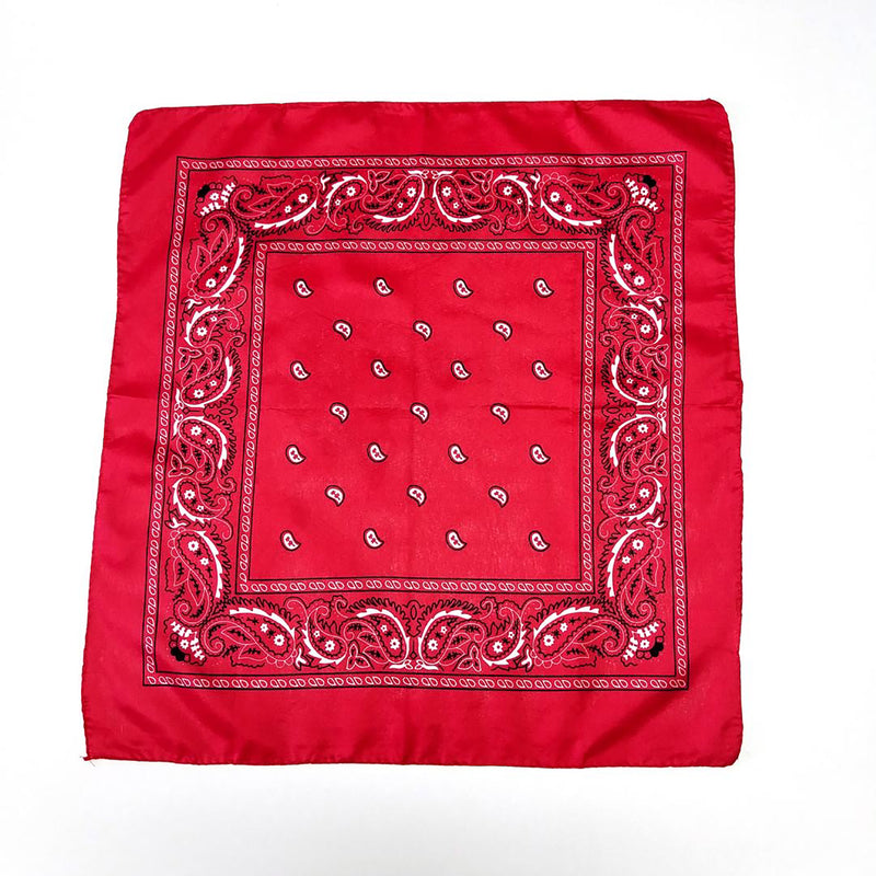 Starr Design Group STARRBANDANA Paisley Bandana Set, Red and Blue