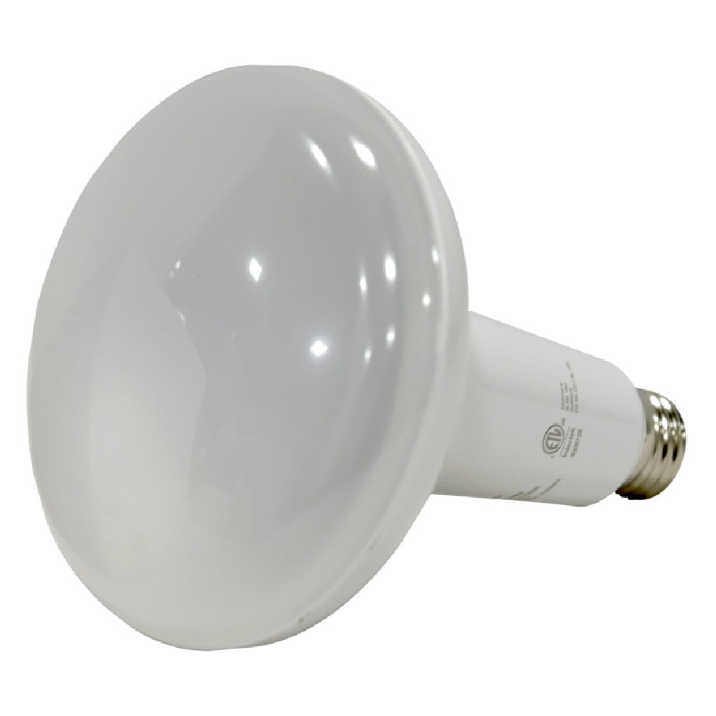 Sylvania 40207 Ultra Incandescent B10 Decorative LED Bulbs