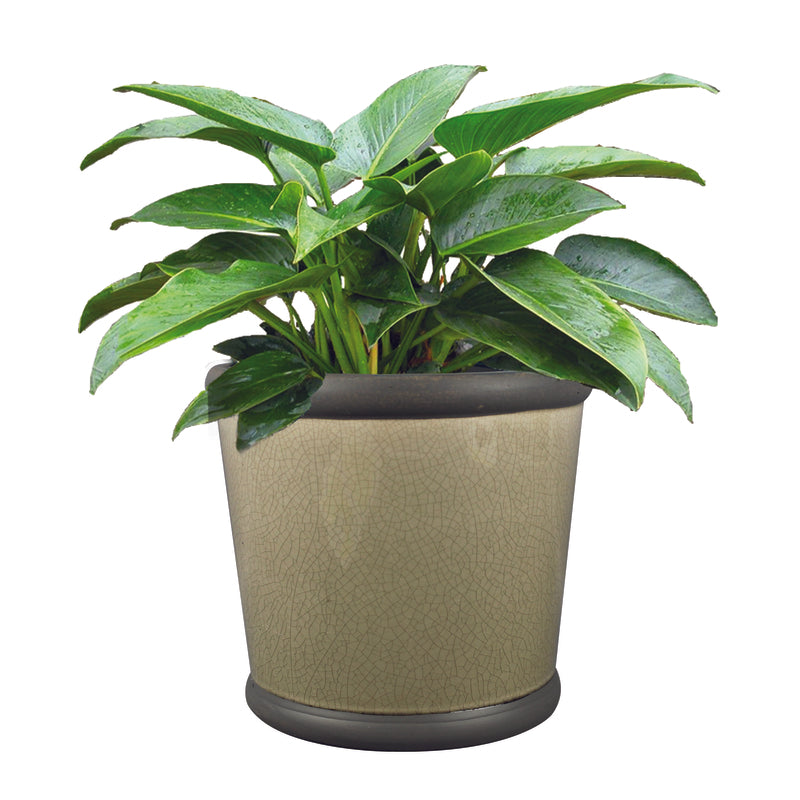 Trendspot CR10564-09D Belleville Ceramic Planter, Grey, 9 in