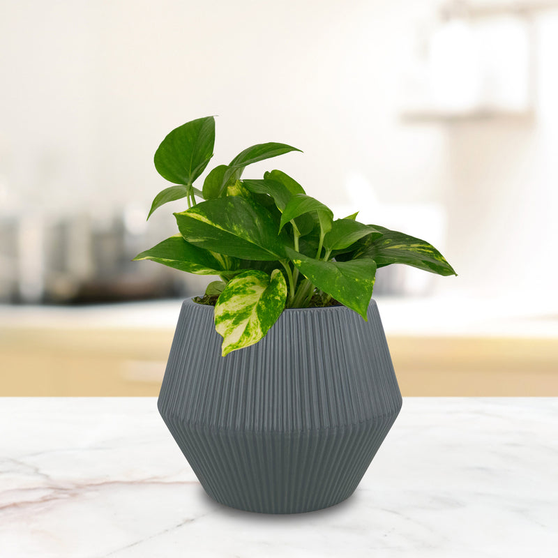 Trendspot CR01474N-08H Rena Ceramic Planter, Dark Grey, 8 in