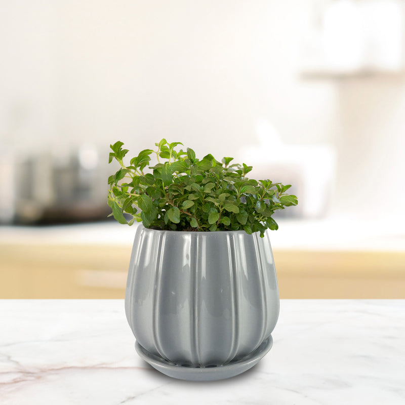 Trendspot CR01137S-06H Contour Ceramic Planter, Grey, 6 in