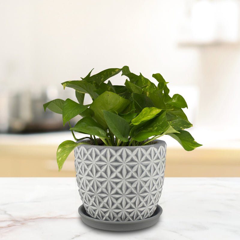 Trendspot CR01178S-08H2 Tribeca Ceramic Planter, Charcoal, 8 in