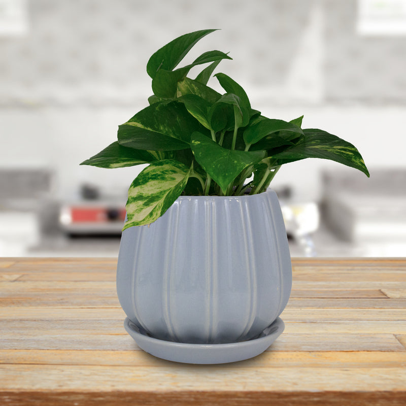 Trendspot CR01137S-08M2 Contour Ceramic Planter, Blue, 8 in