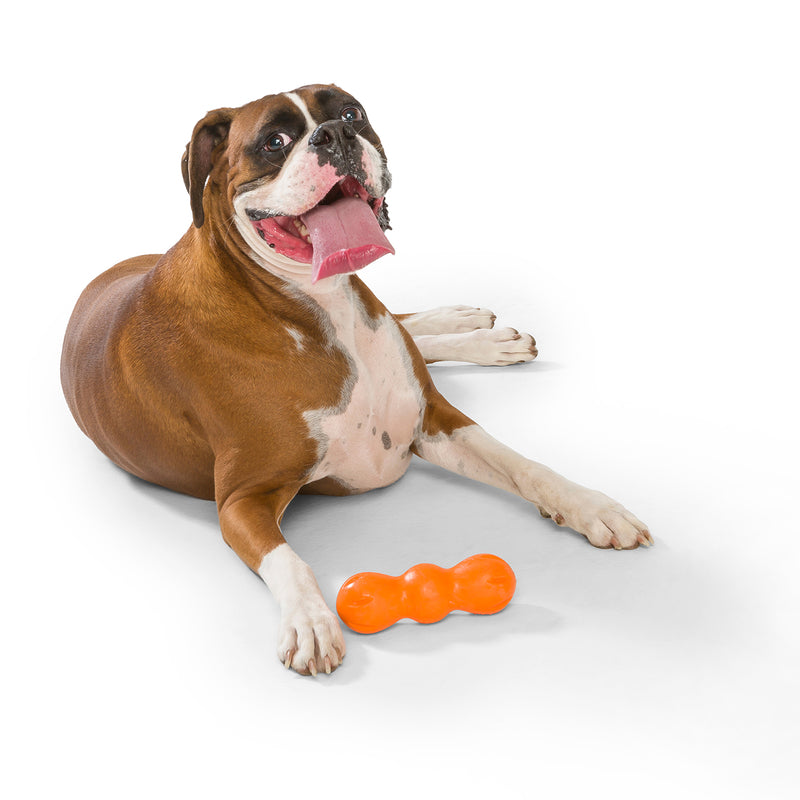 West Paw ZG081TNG ZOGOFLEX Chew Dog Toy, Oragne