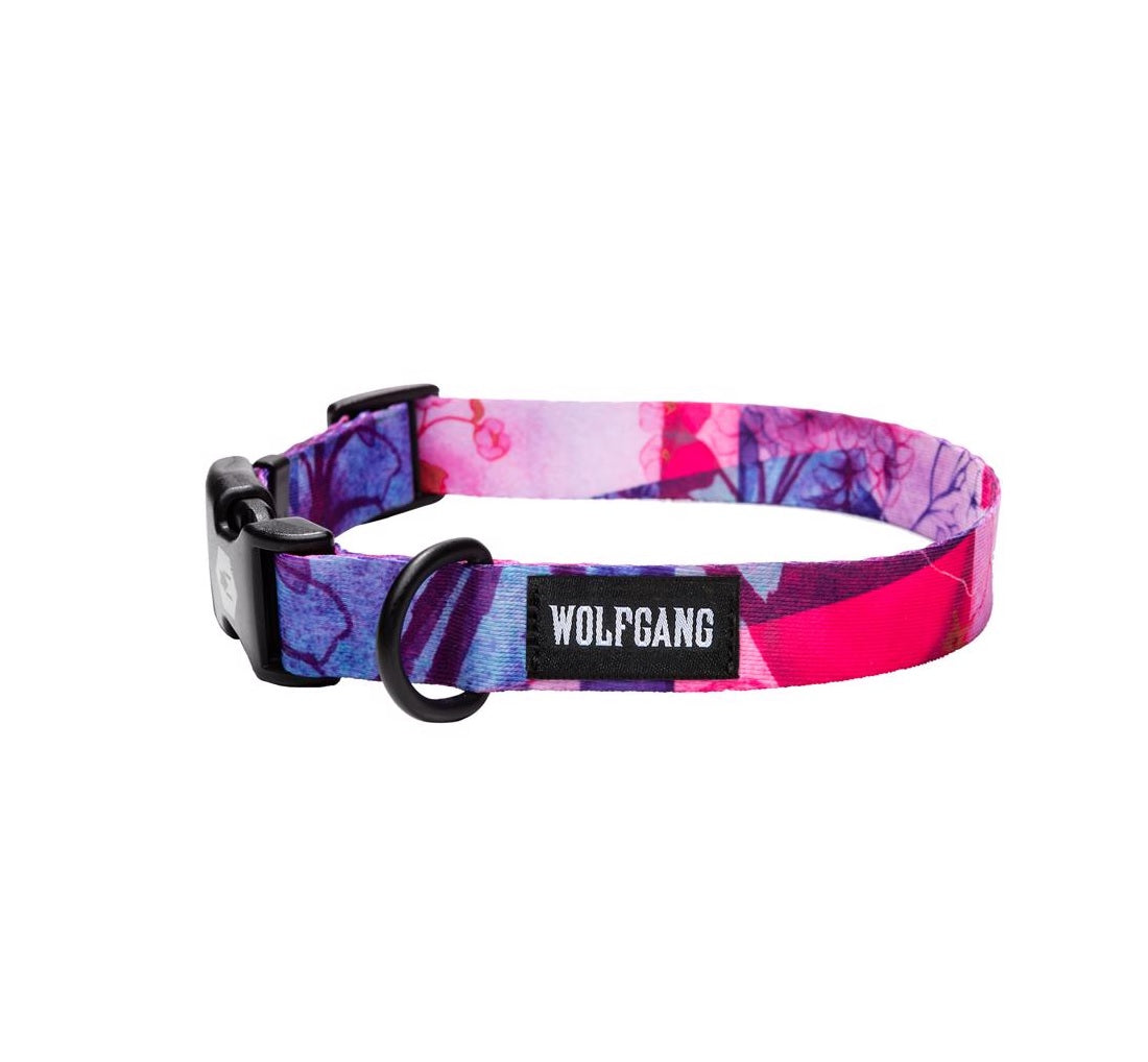 Wolfgang WC-002-33 DayDream Dog Adjustable Collar, Polyester