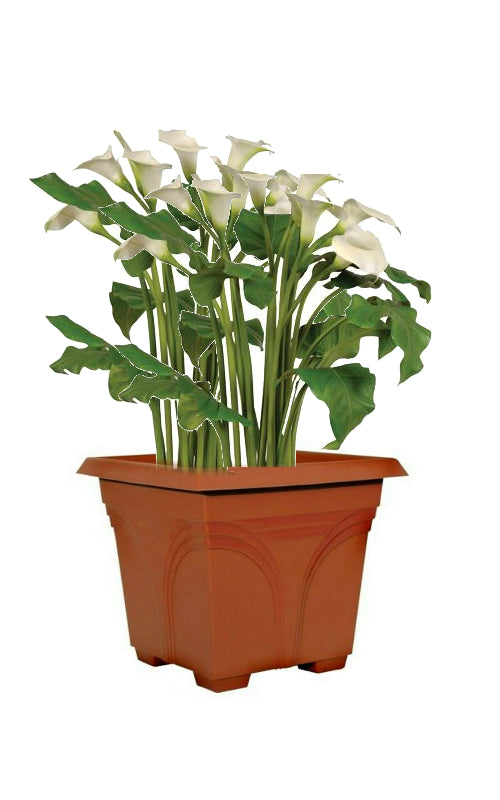 buy planters & pots at cheap rate in bulk. wholesale & retail farm maintenance supplies store.