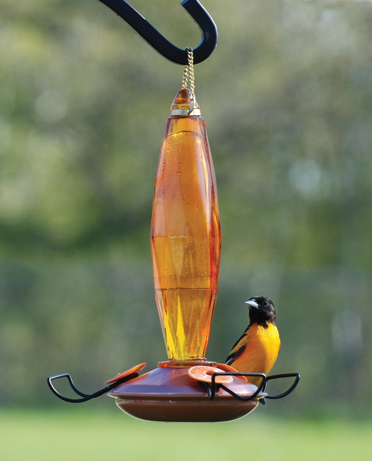 Audubon NAO8 Amber Cut Glass Oriole Feeder, 8 Oz