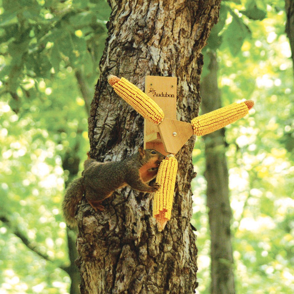 Audubon NASQSPIN Squirrel Ear Corn Holder