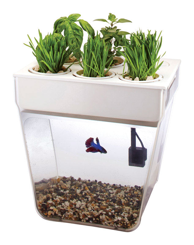 buy fish tank at cheap rate in bulk. wholesale & retail bulk pet toys & supply store.