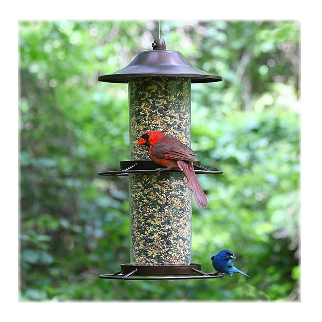 Birdscapes 325S Panorama Wild Bird Feeder, 4.5 Lbs