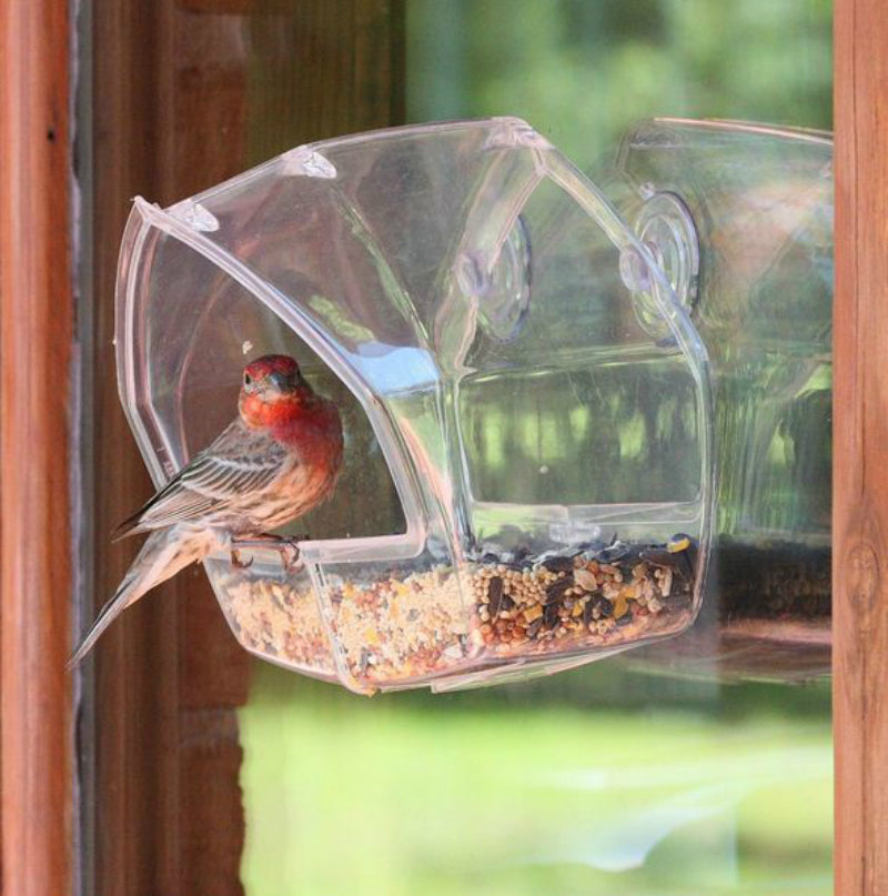 Perky-Pet 348 Birdscapes Window Wild Bird Feeder, Clear